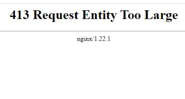 Nginx error 413